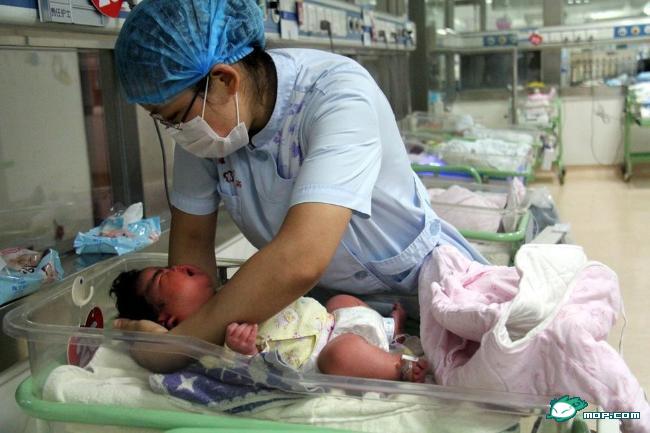 安徽芜湖诞生12斤半超级龙宝宝292 / 作者:翠峰紫阳 / 帖子ID:21504