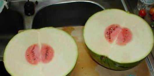 今天买了个西瓜，切开一看，我哭了 ~708 / 作者:翠峰紫阳 / 帖子ID:21506