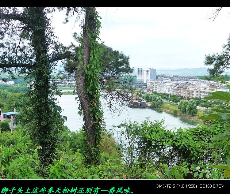 狮子头上观恭城风景。491 / 作者:平安大叔 / 帖子ID:21525