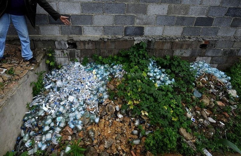 贵阳2岁童黑诊所看病不幸离世769 / 作者:小雨点 / 帖子ID:21532