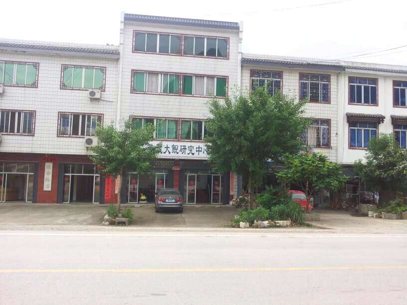 桂林恭城首家大鲵（娃娃鱼）驯养繁育基地852 / 作者:雨楼 / 帖子ID:21577