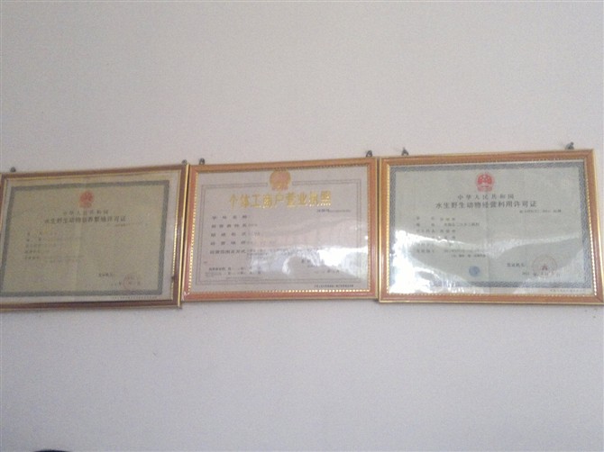 桂林恭城首家大鲵（娃娃鱼）驯养繁育基地285 / 作者:雨楼 / 帖子ID:21577