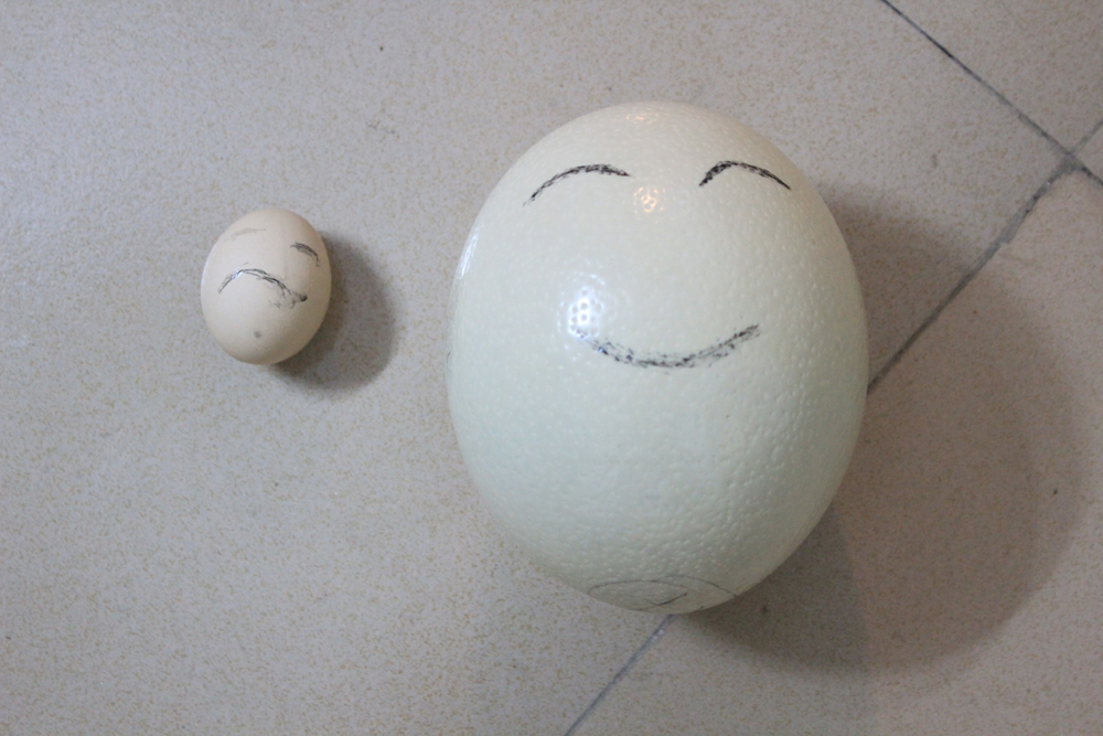 见过那么大的蛋吗？632 / 作者:闰土 / 帖子ID:21588