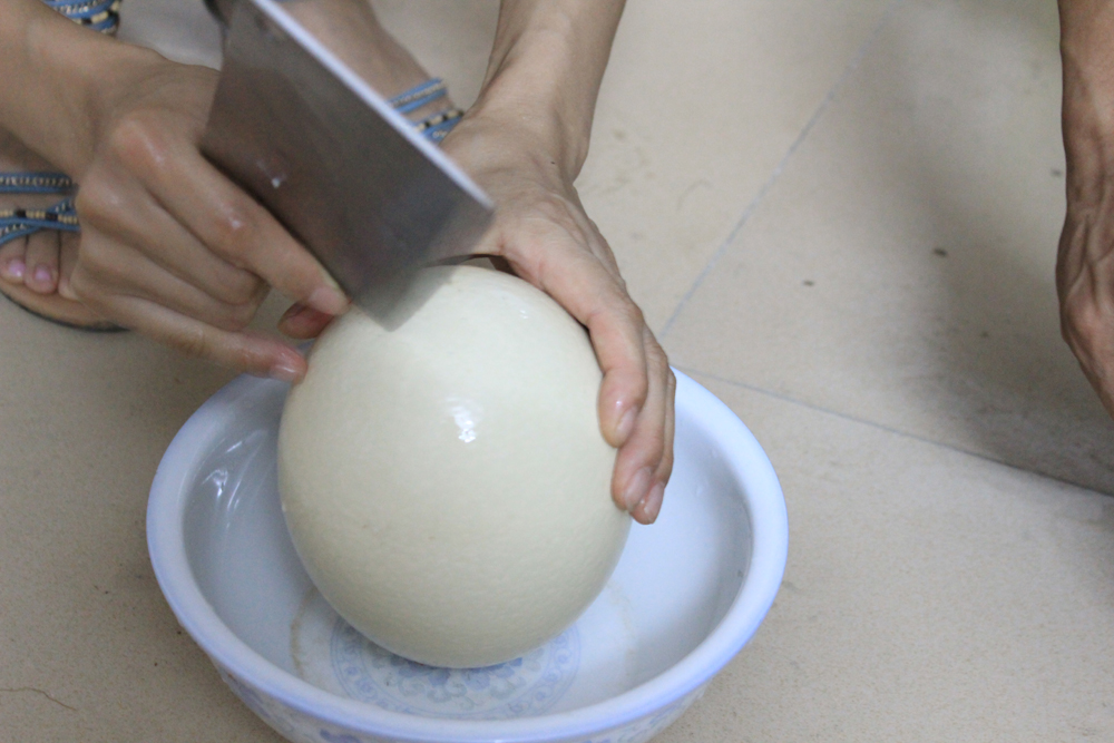 见过那么大的蛋吗？559 / 作者:闰土 / 帖子ID:21588