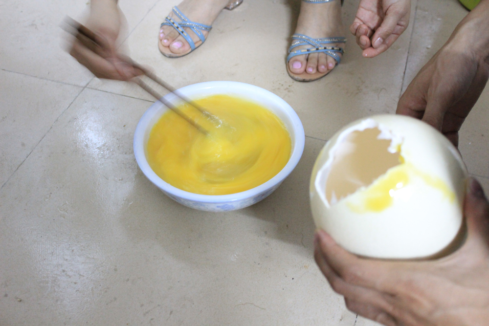 见过那么大的蛋吗？489 / 作者:闰土 / 帖子ID:21588