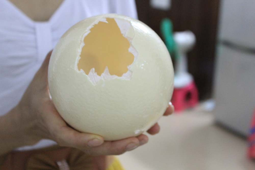 见过那么大的蛋吗？633 / 作者:闰土 / 帖子ID:21588