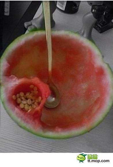 居然有人能把西瓜吃到这个水平90 / 作者:否定一切 / 帖子ID:21587