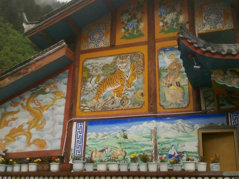 神奇的九寨沟621 / 作者:千里之外 / 帖子ID:21690