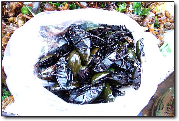 这些食物你敢吃吗？775 / 作者:翠峰紫阳 / 帖子ID:21759