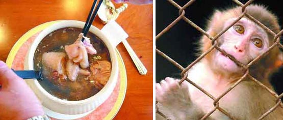 这些食物你敢吃吗？705 / 作者:翠峰紫阳 / 帖子ID:21759