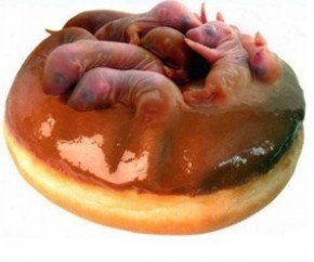 这些食物你敢吃吗？523 / 作者:翠峰紫阳 / 帖子ID:21759