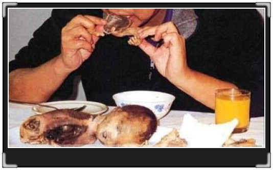 这些食物你敢吃吗？220 / 作者:翠峰紫阳 / 帖子ID:21759