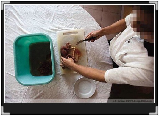 这些食物你敢吃吗？86 / 作者:翠峰紫阳 / 帖子ID:21759