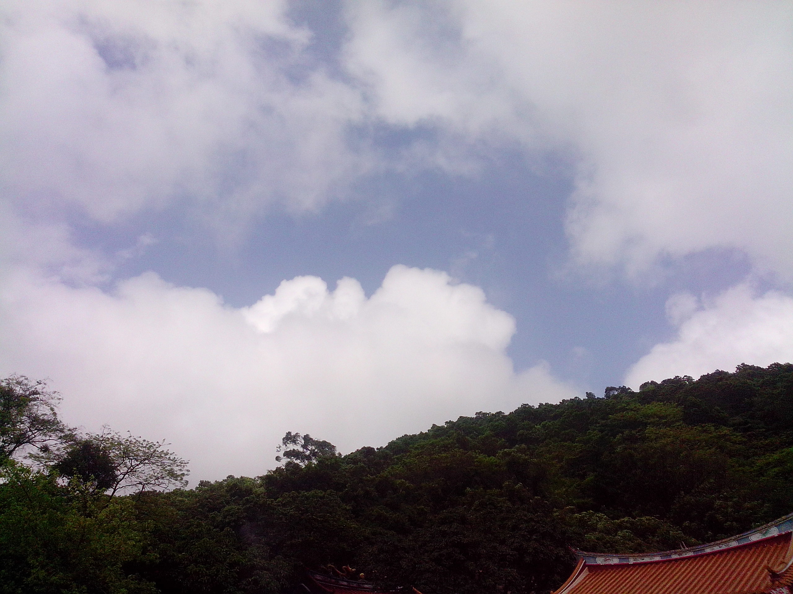 我在深圳！977 / 作者:王小贱 / 帖子ID:21862