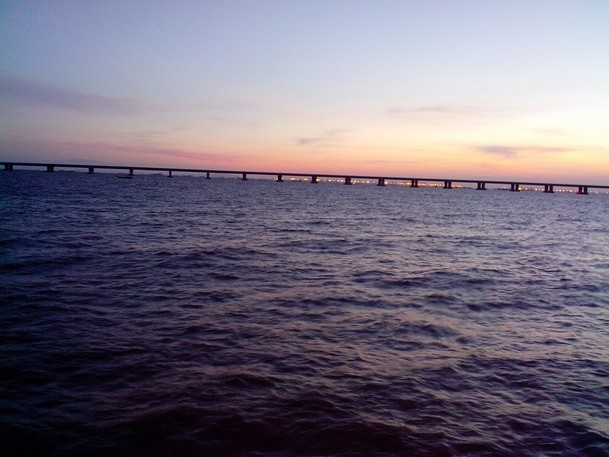 我在深圳！282 / 作者:王小贱 / 帖子ID:21862