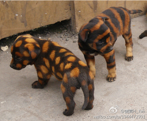 不笑除非你有。。。？364 / 作者:十滴水 / 帖子ID:21876