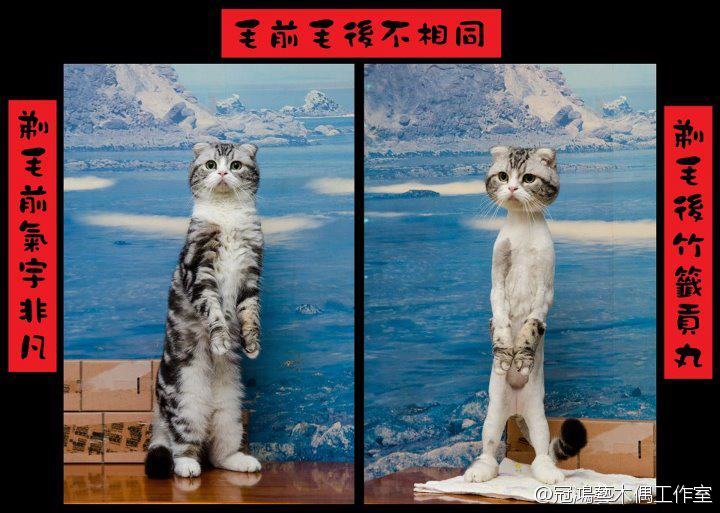 不笑除非你有。。。？220 / 作者:十滴水 / 帖子ID:21876