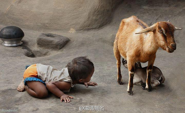 不笑除非你有。。。？860 / 作者:十滴水 / 帖子ID:21876