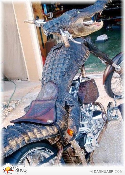 不笑除非你有。。。？518 / 作者:十滴水 / 帖子ID:21876