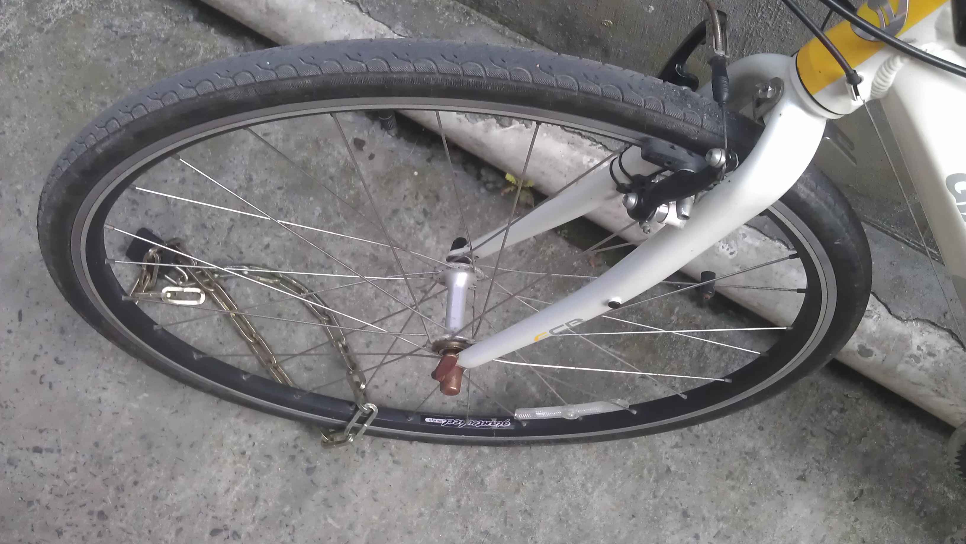 咱的爱车，捷安特FCR3100起来报道。939 / 作者:无相 / 帖子ID:21880
