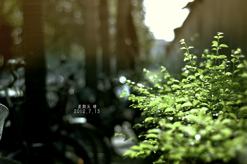 星期五.晴。772 / 作者:講不醜 / 帖子ID:22020