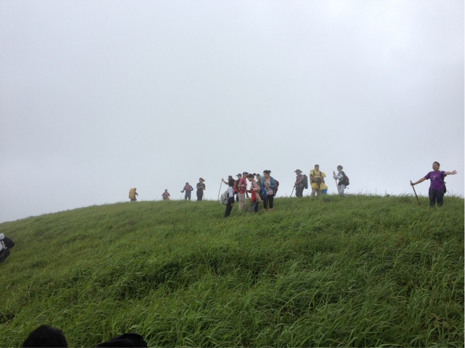 报道@！顺便向恭城的朋友们问好。668 / 作者:阳朔小莫 / 帖子ID:22078