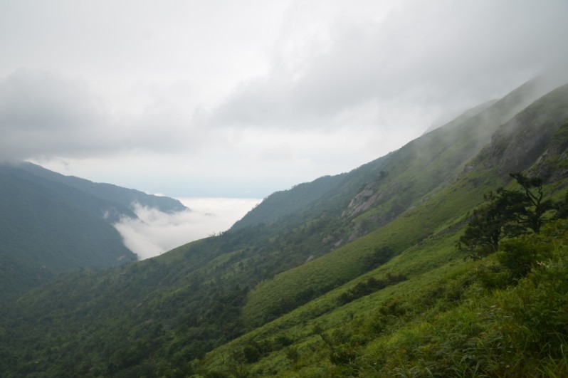 燕子山偶遇，当贺州520偶遇恭城520（多p随拍)673 / 作者:怪_兽_㊣ / 帖子ID:22093