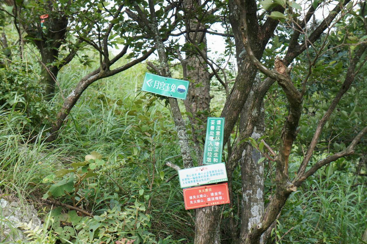 出击天仙草原---燕子山会员们有P放P，无P放字！PP多多大家慢慢看767 / 作者:火星娃崽 / 帖子ID:22080