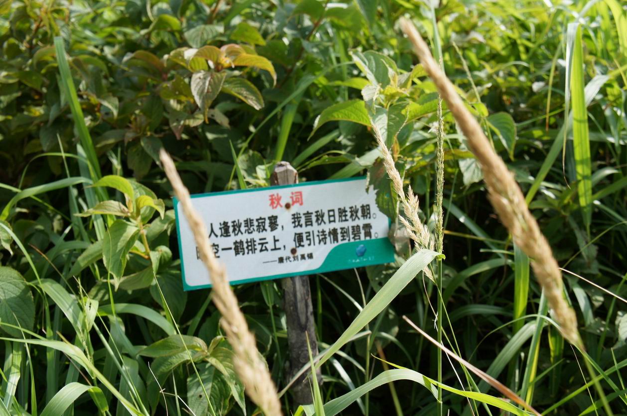出击天仙草原---燕子山会员们有P放P，无P放字！PP多多大家慢慢看517 / 作者:火星娃崽 / 帖子ID:22080