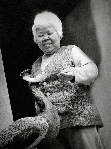 两天前，我煤球没有了392 / 作者:講不醜 / 帖子ID:21750