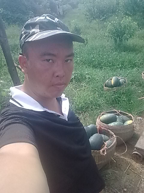 我的黑美人-------我做主！------丰收的喜悦！779 / 作者:十滴水 / 帖子ID:22142