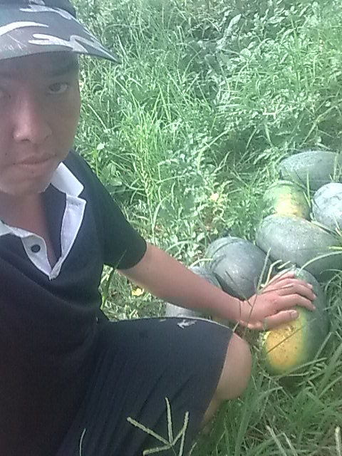 我的黑美人-------我做主！------丰收的喜悦！715 / 作者:十滴水 / 帖子ID:22142