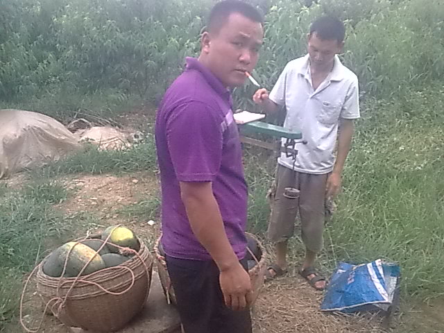 我的黑美人-------我做主！------丰收的喜悦！471 / 作者:十滴水 / 帖子ID:22142