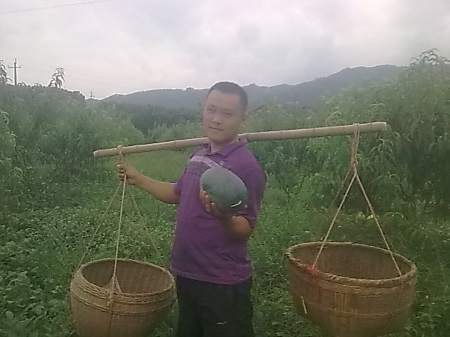 我的黑美人-------我做主！------丰收的喜悦！818 / 作者:十滴水 / 帖子ID:22142