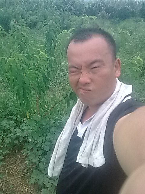 我的黑美人-------我做主！------丰收的喜悦！8 / 作者:十滴水 / 帖子ID:22142