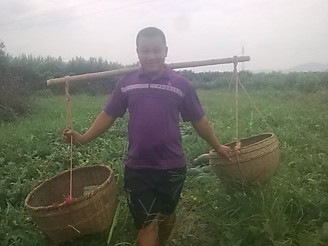 我的黑美人-------我做主！------丰收的喜悦！848 / 作者:十滴水 / 帖子ID:22142