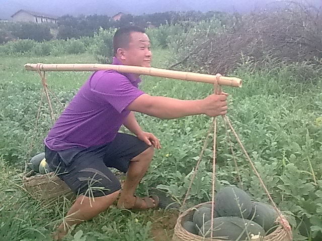 我的黑美人-------我做主！------丰收的喜悦！689 / 作者:十滴水 / 帖子ID:22142