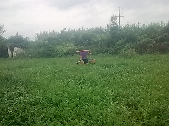 我的黑美人-------我做主！------丰收的喜悦！897 / 作者:十滴水 / 帖子ID:22142