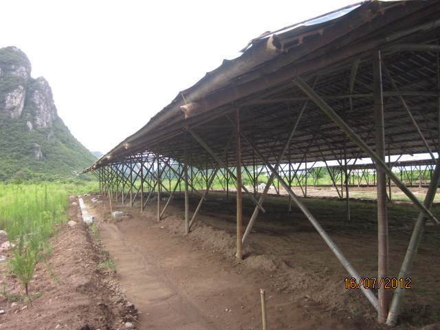 不知以后会有污染吗？加会的鸭场要转移在白燕村基地养殖了！785 / 作者:十滴水 / 帖子ID:22144