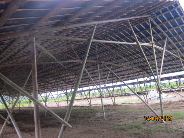 不知以后会有污染吗？加会的鸭场要转移在白燕村基地养殖了！296 / 作者:十滴水 / 帖子ID:22144