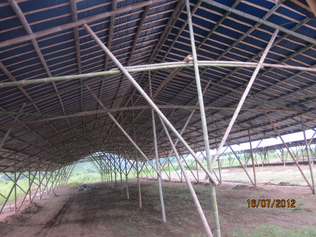 不知以后会有污染吗？加会的鸭场要转移在白燕村基地养殖了！719 / 作者:十滴水 / 帖子ID:22144