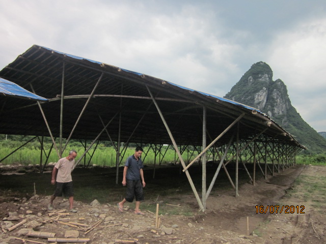 不知以后会有污染吗？加会的鸭场要转移在白燕村基地养殖了！797 / 作者:十滴水 / 帖子ID:22144