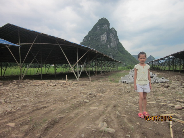 不知以后会有污染吗？加会的鸭场要转移在白燕村基地养殖了！738 / 作者:十滴水 / 帖子ID:22144