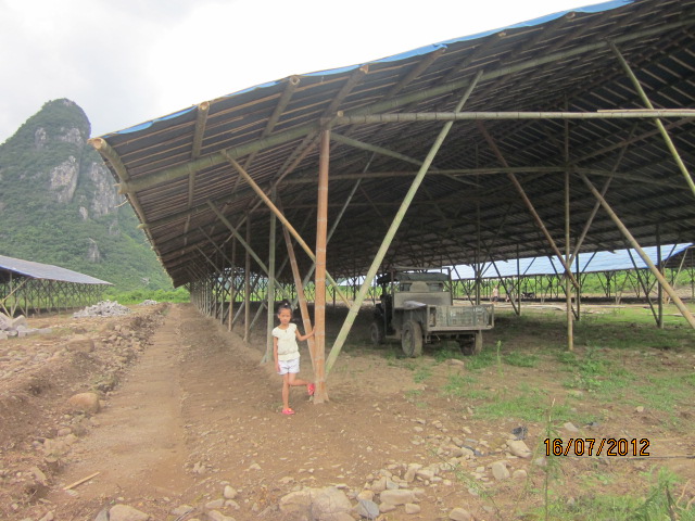 不知以后会有污染吗？加会的鸭场要转移在白燕村基地养殖了！70 / 作者:十滴水 / 帖子ID:22144