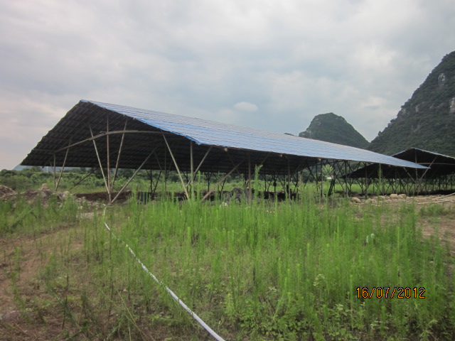 不知以后会有污染吗？加会的鸭场要转移在白燕村基地养殖了！109 / 作者:十滴水 / 帖子ID:22144