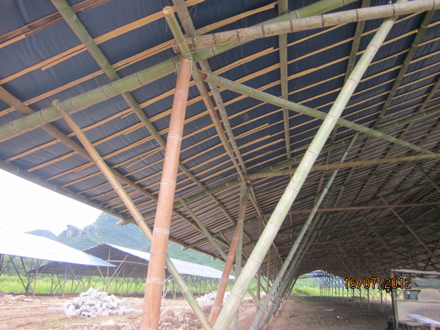 不知以后会有污染吗？加会的鸭场要转移在白燕村基地养殖了！875 / 作者:十滴水 / 帖子ID:22144