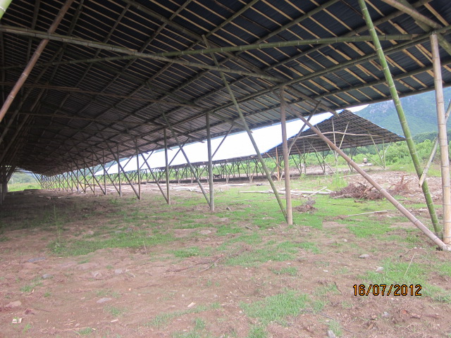 不知以后会有污染吗？加会的鸭场要转移在白燕村基地养殖了！3 / 作者:十滴水 / 帖子ID:22144