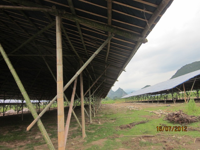 不知以后会有污染吗？加会的鸭场要转移在白燕村基地养殖了！659 / 作者:十滴水 / 帖子ID:22144