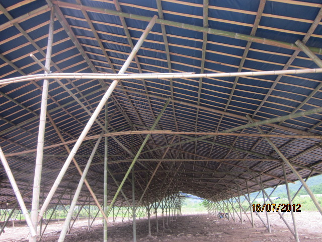 不知以后会有污染吗？加会的鸭场要转移在白燕村基地养殖了！856 / 作者:十滴水 / 帖子ID:22144