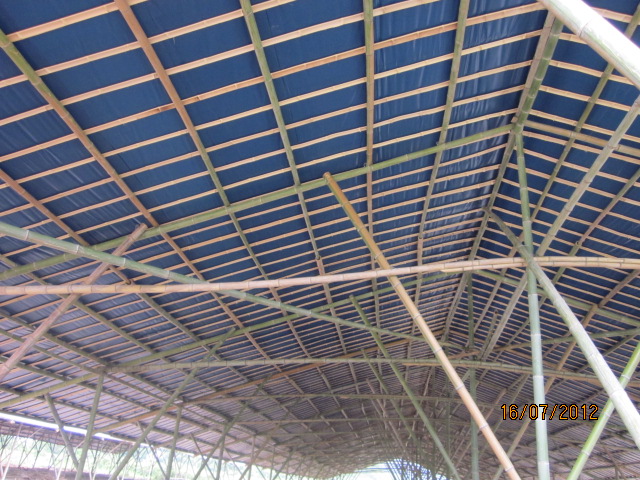 不知以后会有污染吗？加会的鸭场要转移在白燕村基地养殖了！923 / 作者:十滴水 / 帖子ID:22144